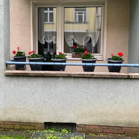 Flora, An Der Messe